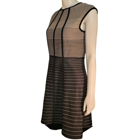 Sandra Darren Graphic Stripe Fit & Flare Dress 10 Sleeveless Balletcore Swiftie - Picture 9 of 9